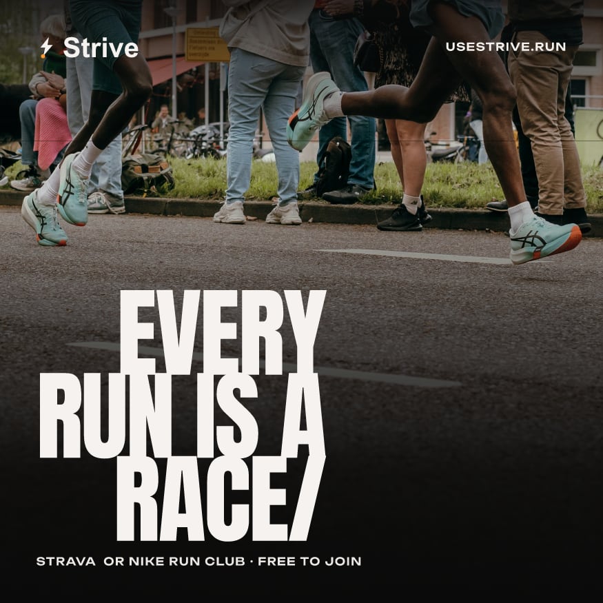 Preview image published by usestrive.run